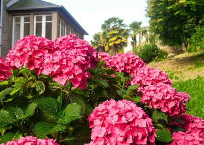 ar bradenn conception jardin sur mesure (1)