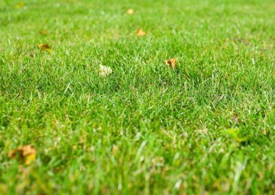 ar bradenn conception jardin sur mesure (13)