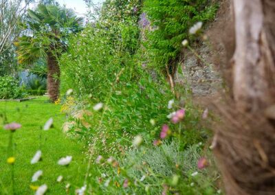 ar bradenn conception jardin sur mesure (17)