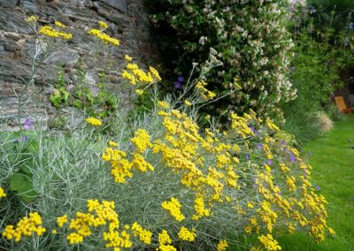 ar bradenn conception jardin sur mesure (18)