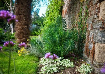 ar bradenn conception jardin sur mesure (25)