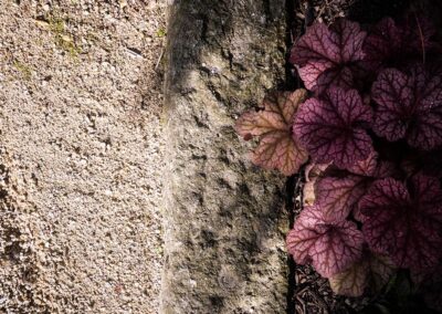 ar bradenn conception jardin sur mesure (6)