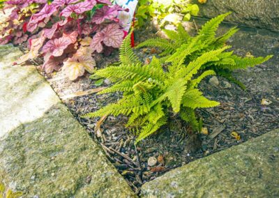 ar bradenn conception jardin sur mesure (8)