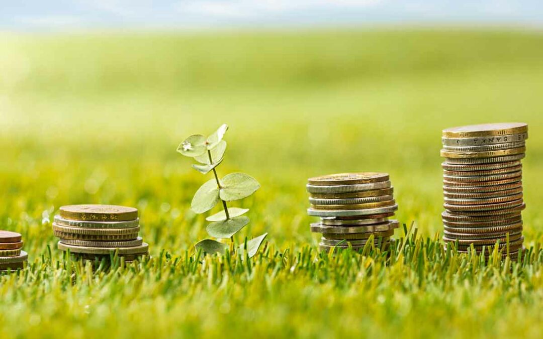 La phytoépuration : une solution écologique et économique pour le traitement des eaux usées