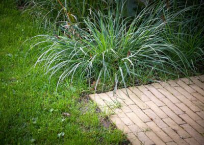 conception jardins paysage landivisiau ar bradenn 26