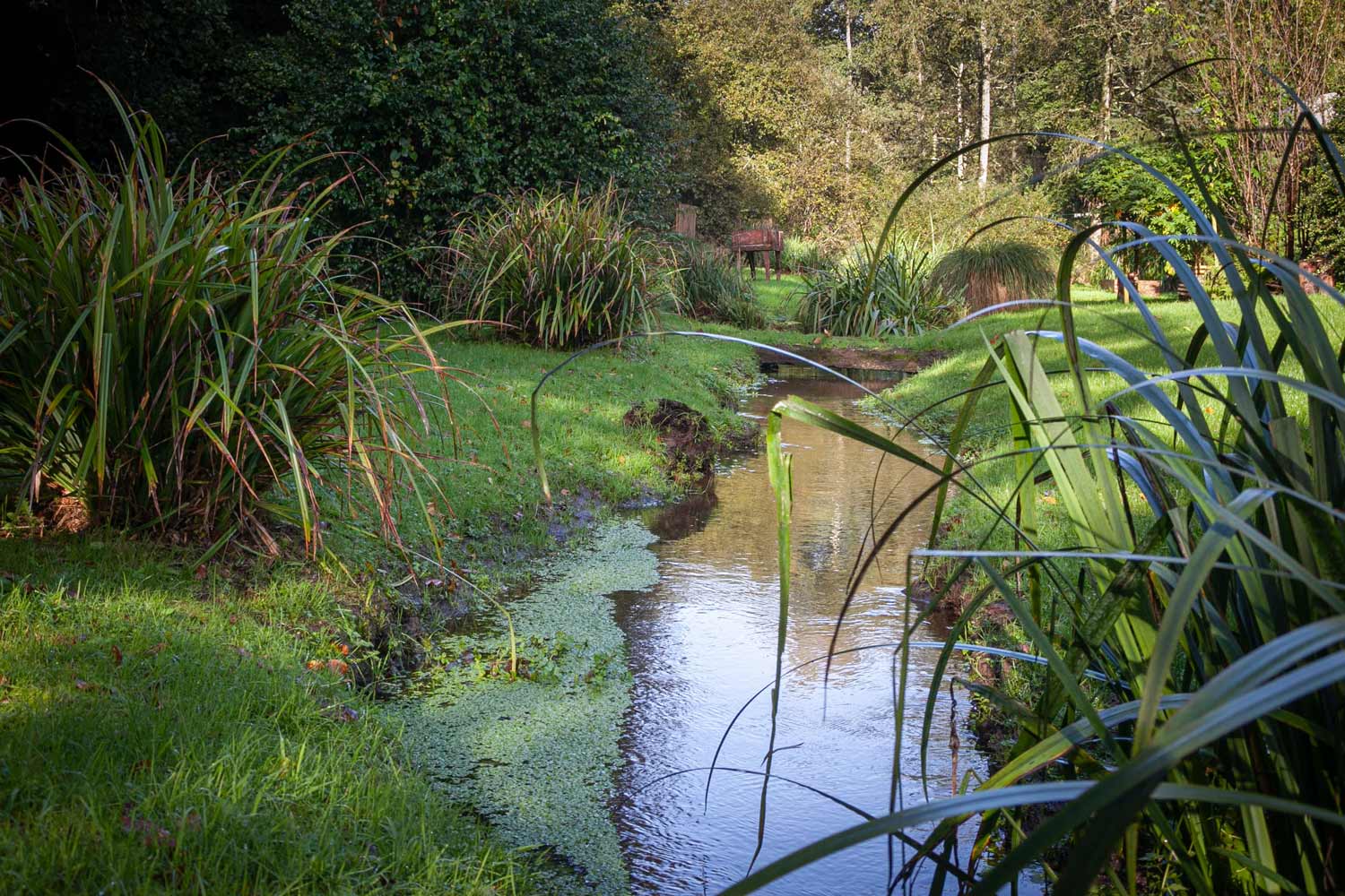 conception jardins paysage landivisiau ar bradenn 50