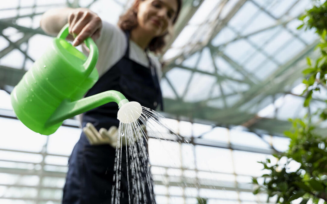 Quels sont les intérêts pour le jardin de récupérer l’eau de pluie ?