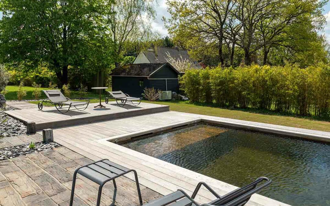 Impact des piscines naturelles sur la valeur immobilière de votre bien
